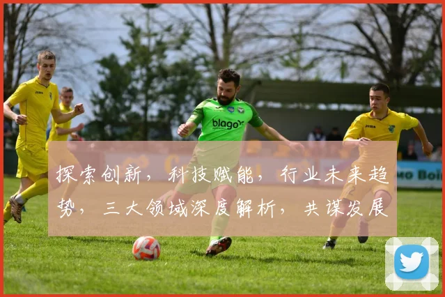 探索创新，科技赋能，行业未来趋势，三大领域深度解析，共谋发展新篇章
