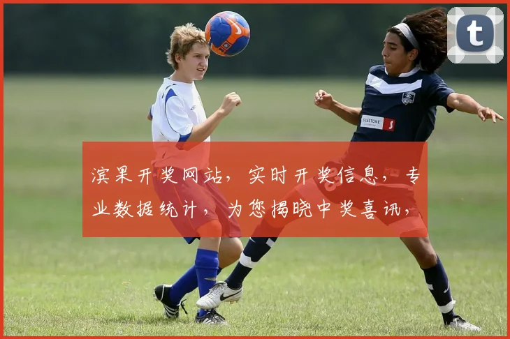 滨果开奖网站，实时开奖信息，专业数据统计，为您揭晓中奖喜讯，三重惊喜，不容错过